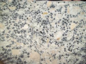 BETON